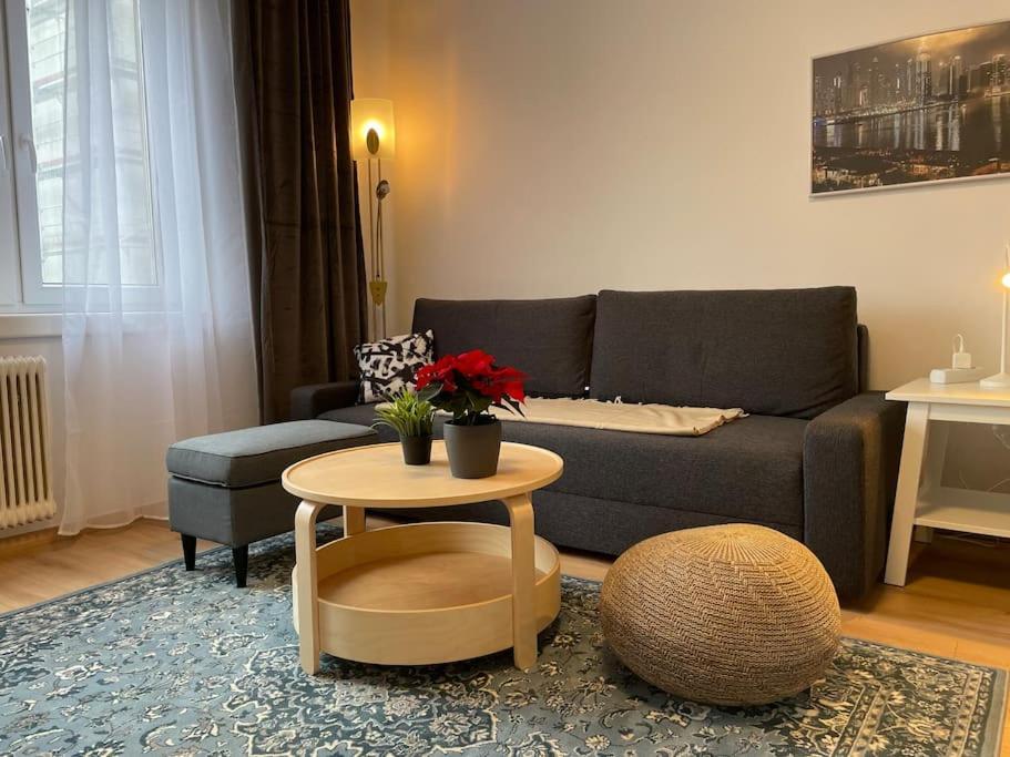 Charming Apartment Near City Center Vienne Extérieur photo