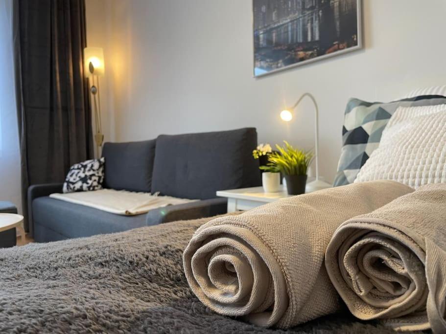 Charming Apartment Near City Center Vienne Extérieur photo
